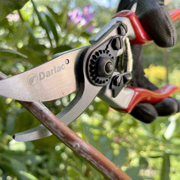 Darlac DP1030A Pruner