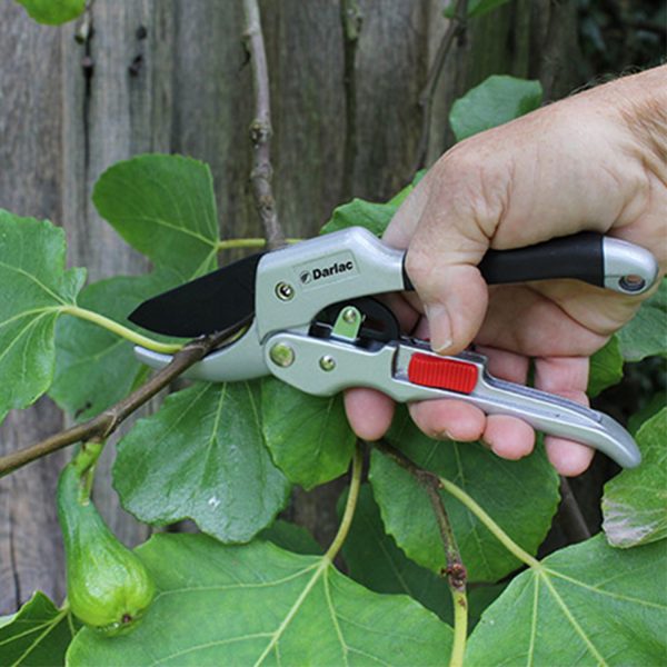 Darlac DP744 Super Classic Ratchet Pruner – 25mm Cut Capacity