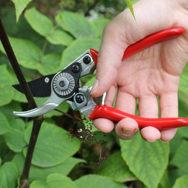 Darlac DP930 Pruner